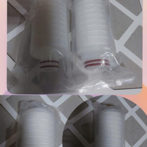LÕI LỌC PTFE 5INCH NGÀNH DƯỢC