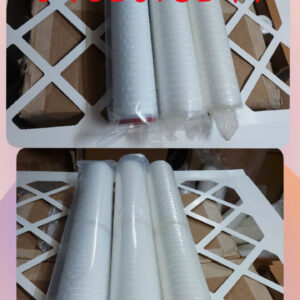 LÕI LỌC PTFE 20INCH NGÀNH DƯỢC
