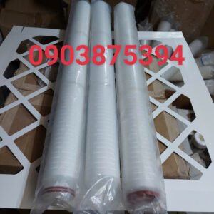 LÕI LỌC PTFE 30INCH NGÀNH DƯỢC