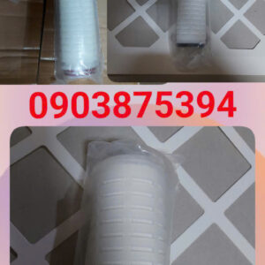 LÕI LỌC VI SINH PES 0.1MICRON
